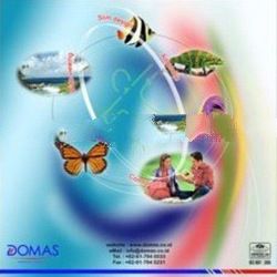 Plastic Progressive Glasses Lens