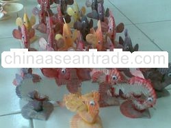 Fish Decor Seashells Decorations