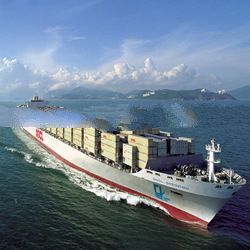 International Freight Forwarder