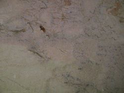 cappucino beige