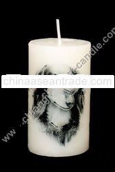 High Quality Dog Candles
