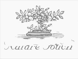 Nature Touch Aromatheraphy