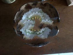 candle aroma in coconut shell