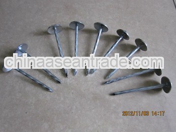 zink glavanized roofing nails (manufacturer)