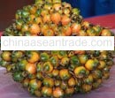 MALAYSIAN PALM OIL