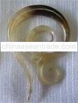 Horn Earring