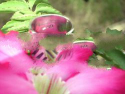 Metro Sexual Handcrafted Ring, Inspired By Italian Art Works