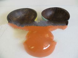 Hand carved polished coconut shell bowl