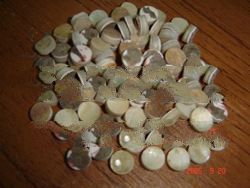 Shell Button Blank