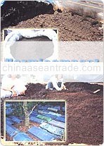 vermicompost organic fertilizer