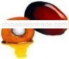 crude palm oil
