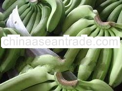 Cavendish Banana