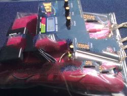 Electromedics DNA 180000 (Digitalized Needleless Acupuncture For Kidney) product