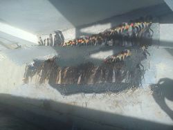 burmese hair extension