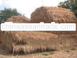 thatched roof
