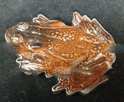 Sterling Silver Brooch with Frog Dark Brown Glacier