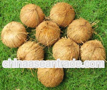 100% Matured Coconut from India