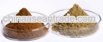 100% Natural Codonopsis Root Extract Powder