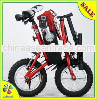 12'' Super Light Mini Portable Fold Bicycle