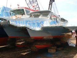 Fibreglass work boat - multipurpose (MPA Licensed)