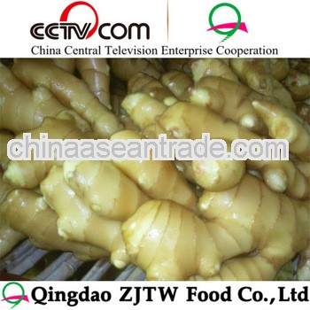 200g up Chinese ginger