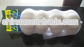 2012 cheap pure/normal white garlic