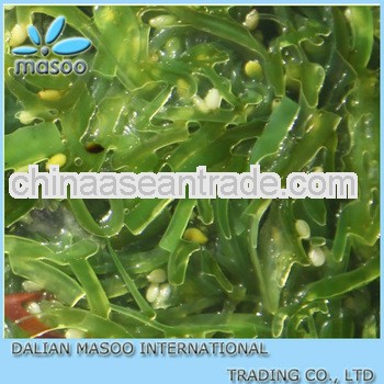 2012 new crop cut salted frozen wakame salad,seaweed,reasonable price.