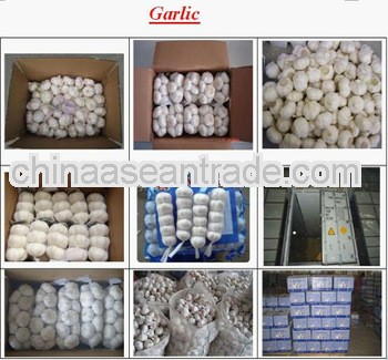 2012pure/nomal white garlic for sale
