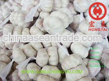 2013 Jinxiang Normal White Garlic Price