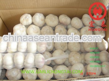 2013 Natural Garlic 6.0CM Price
