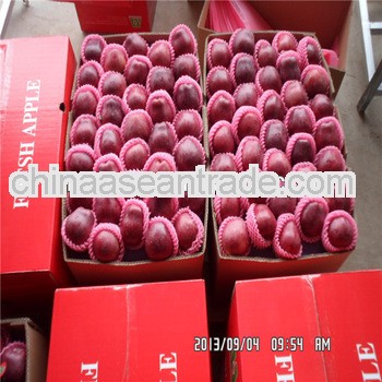 2013 apple China fresh huaniu apple with best pricemanufactuer Factory Farm