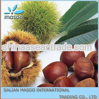 2013 chestnuts - new crop masoo -!!