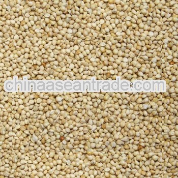 2013 crop white millet with shell