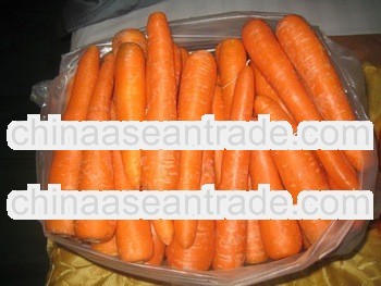 2013 fresh carrot(new crop,high quality!)