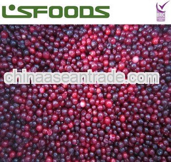 2013 new crop IQF frozen lingonberry