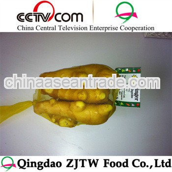 2013 new crop fresh ginger with the size of 100g&up,150g&up,200g&up