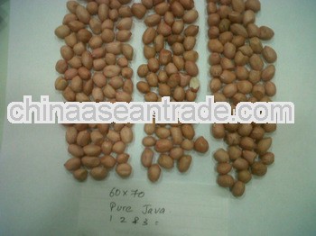 40/50 Peanuts for Sri Lanka