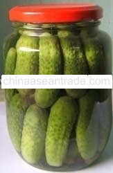 Pickled Cucumber With Best Price