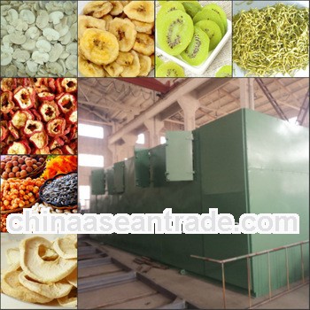 AUSD Industrial DW belt dryer equipment to dry fruits
