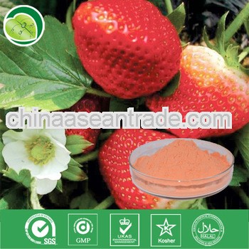 Best Quality Organic Strawberry Juice Powder