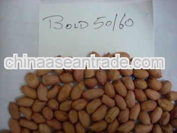 Best Quality Peanuts for 