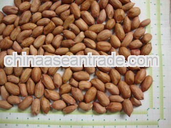 Best Quality Peanuts for Guinea