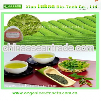 Best Selling Products Green Tea Extract Powder