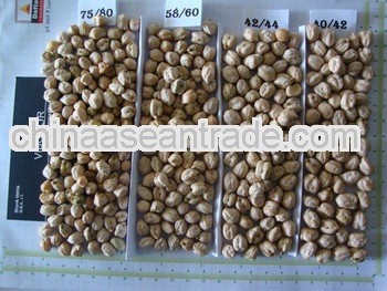 Chick peas 10 mm For Afghanistan