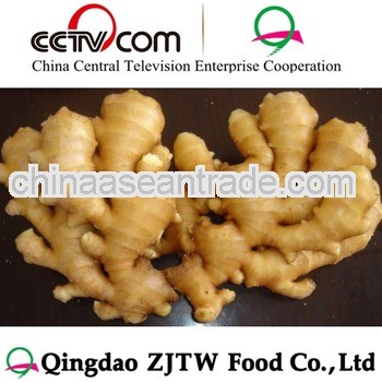  Best Selling Ginger Shandong New crop