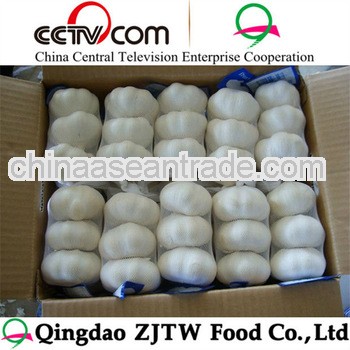 Chinese/China Organic Fresh Garlic ( 2013 crop, EU quality)
