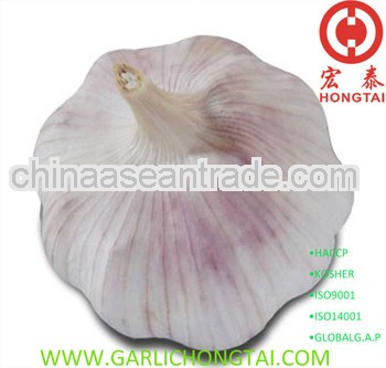 Chinese Fresh Common White Garlic 6.0CM