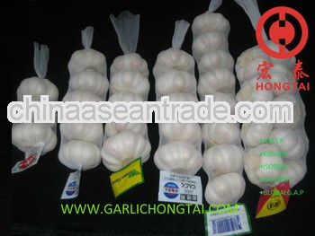 Chinese Fresh Garlic 5-7 CM Price