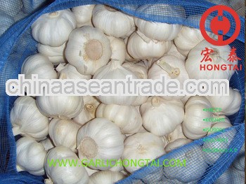 Chinese Fresh Garlic 6.0 CM Price