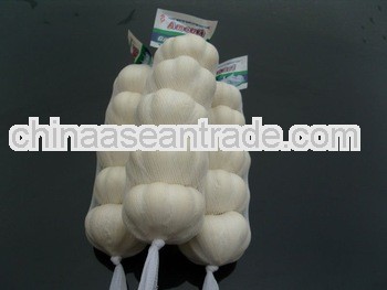 Chinese Fresh Garlic for Egypt and Europe market